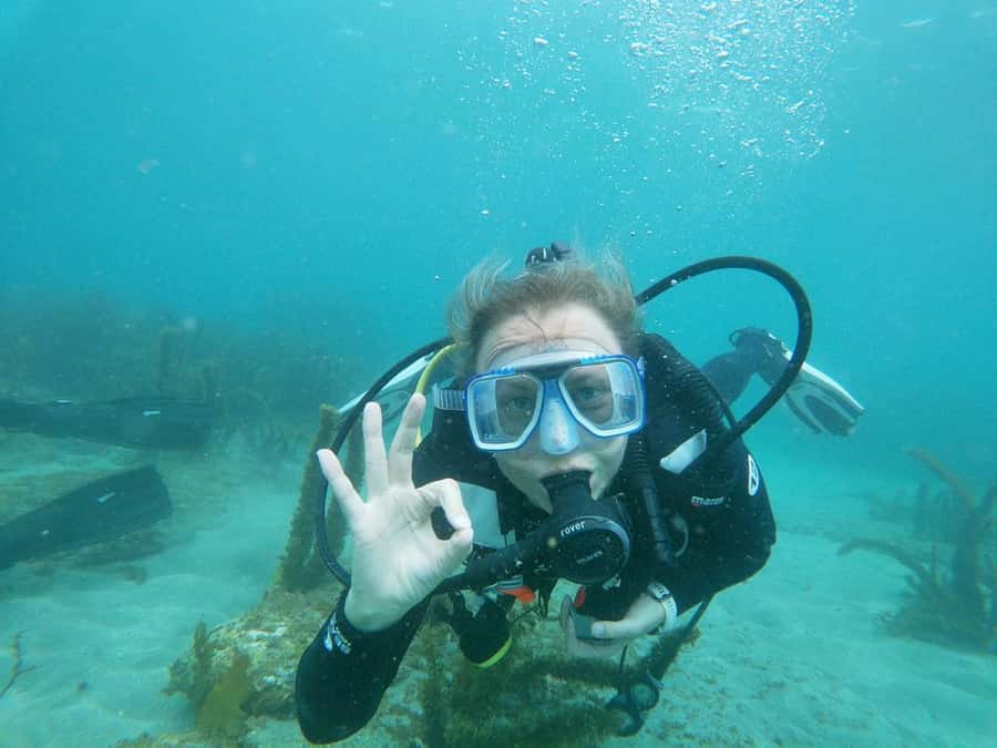 Goat Island Try Scuba Diving Experience - Weather, cancellations, and the practical tradeoff