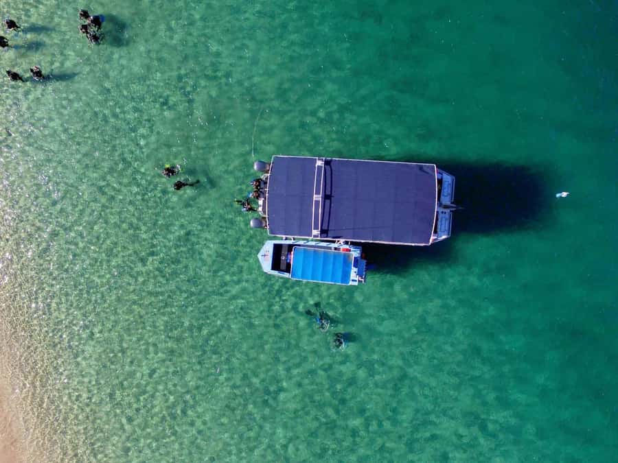Gold Coast: 3-Day PADI Open Water Course - Confined-water practice: getting comfortable with the equipment