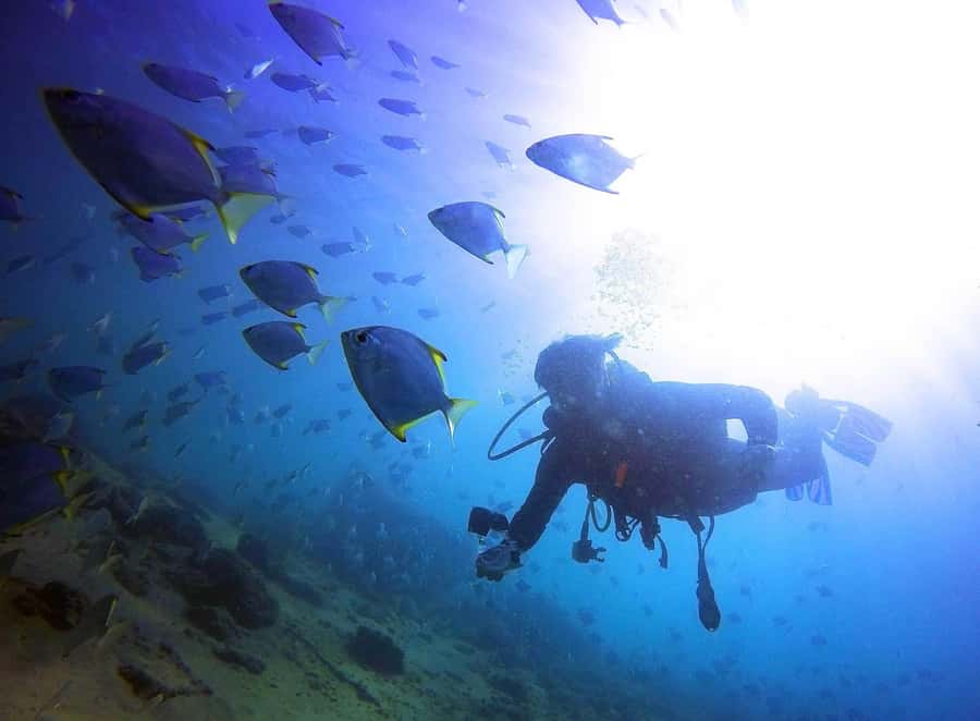 Gold Coast: 3-Day PADI Open Water Course - Small practical details that make the course easier