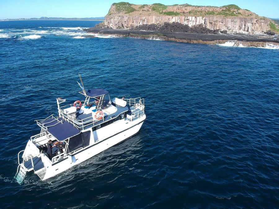 Gold Coast: Cook Island Marine Reserve Scuba Experience Dive - From Miami to the Tweed Heads jetty