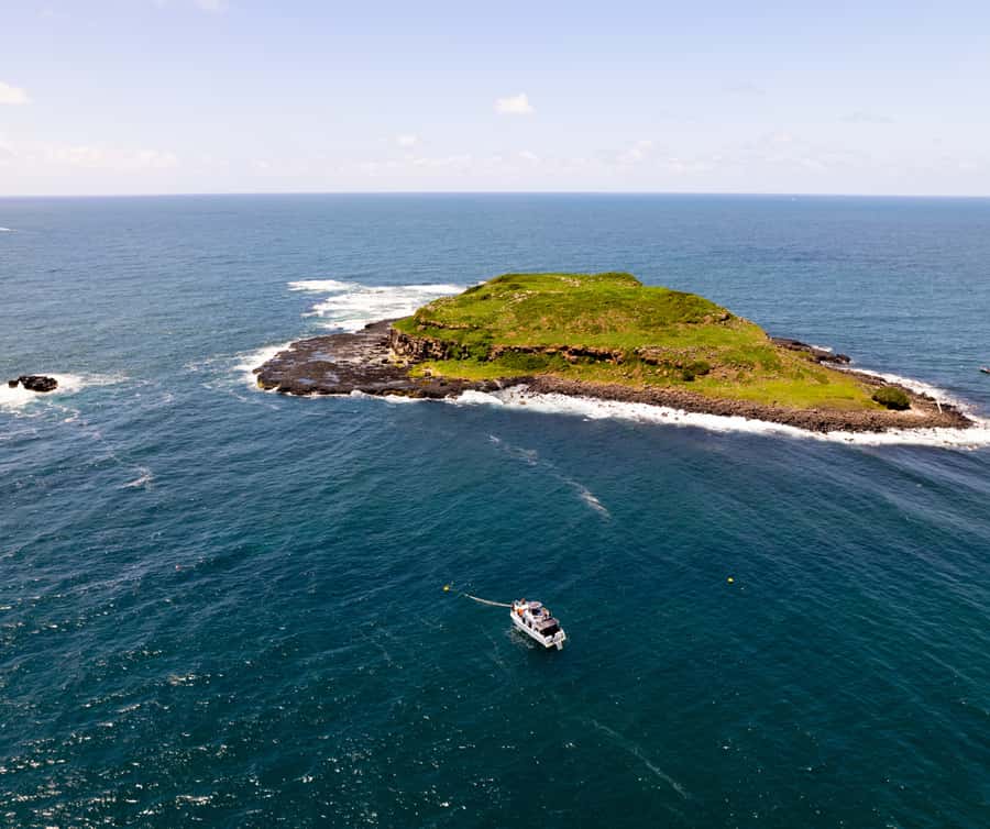 Gold Coast: Cook Island Marine Reserve Scuba Experience Dive - How to prepare for a more comfortable day
