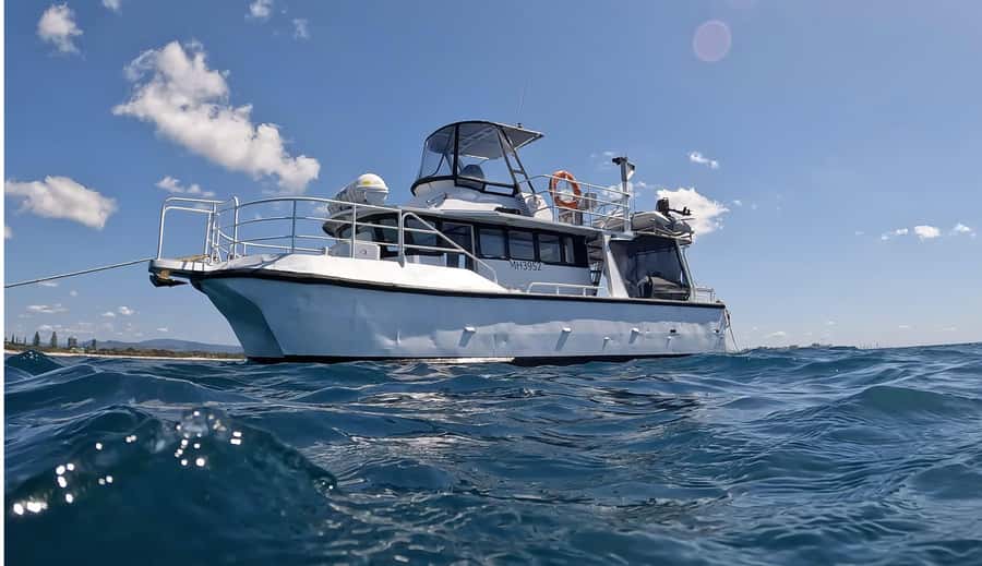 Gold Coast: Cook Island Marine Reserve Scuba Experience Dive - A close-guided first scuba session