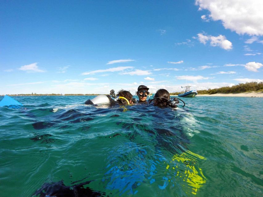 Gold Coast: Introductory SCUBA Diving Experience - My call: book it for a first SCUBA try