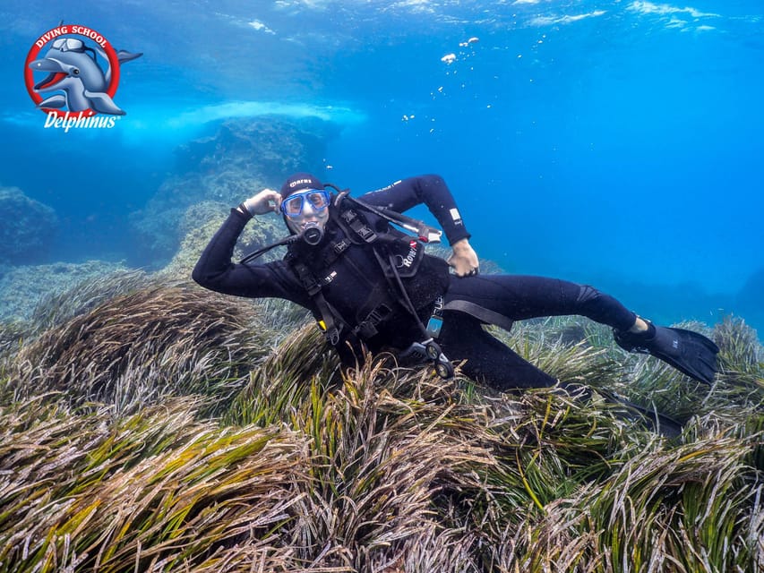 Gran Canaria: Discover Scuba Diving Beginner Program - What your four hours near Mogán look like