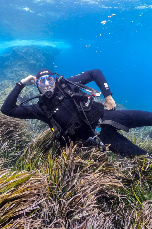 Gran Canaria: Discover Scuba Diving Beginner Program - How the small group changes the experience