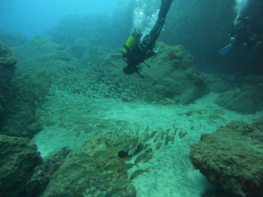 Gran Canaria: Discover Scuba Diving - Free Transfers - Key details before you book