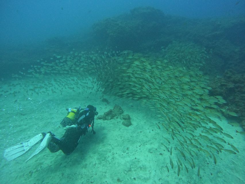 Gran Canaria: Discover Scuba Diving - Free Transfers - Choosing between Amadores and Tufia