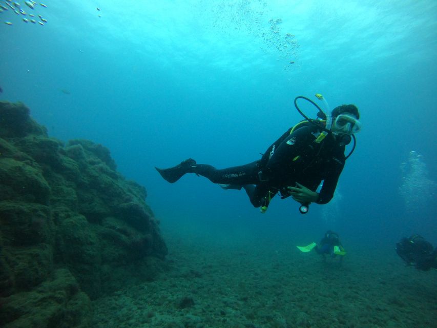Gran Canaria: Discover Scuba Diving - Free Transfers - Thirty minutes of training before the sea