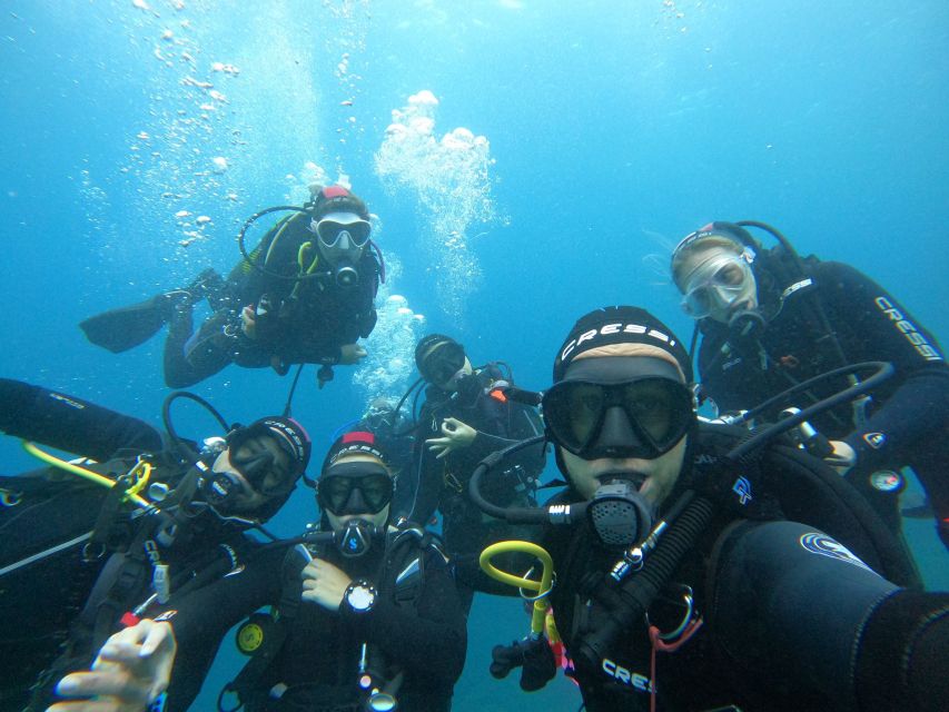 Gran Canaria: Discover Scuba Diving - Free Transfers - About 50 minutes among rays and rocky sea life