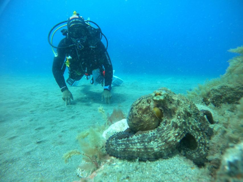 Gran Canaria: Discover Scuba Diving - Free Transfers - Timing, weather, and the flight rule
