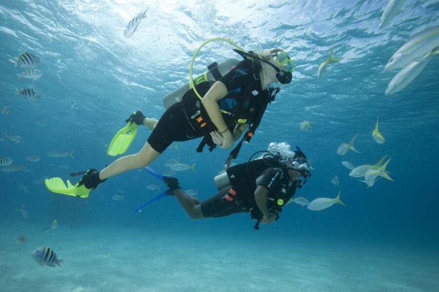 Gran Canaria: Scuba Diving for Beginners - What this Gran Canaria scuba session is really like