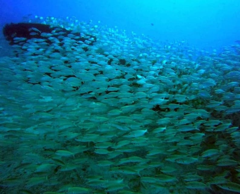 Gran Canaria: Scuba Diving for Beginners - Why the small group size helps