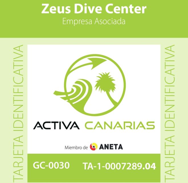 Gran Canaria Scuba Diving for Certified Divers - Alejandro and the small-group format
