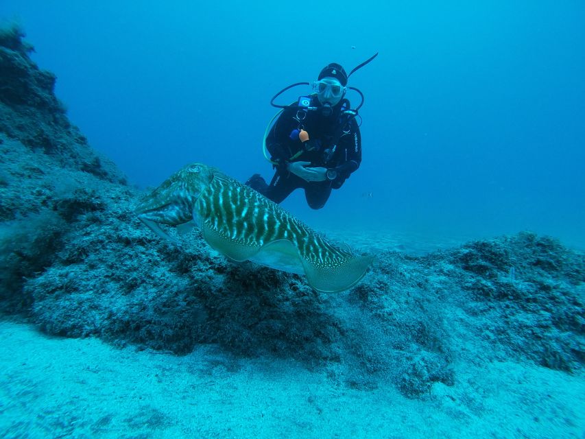 Gran Canaria: Try Scuba Diving for Beginners - Health rules and practical limits
