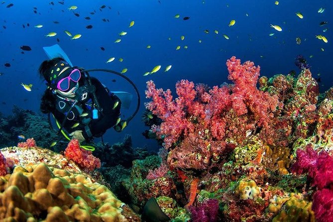 Grand Island Adventure: Diving and Water Sports Thrills - The short scuba session at Grand Island