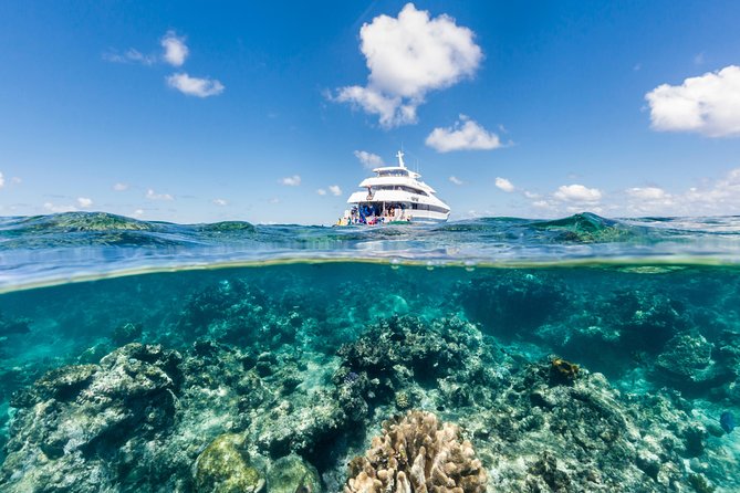 Great Barrier Reef Snorkeling and Diving Cruise from Cairns - A full reef day from Cairns, not a quick look offshore
