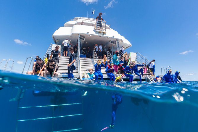 Great Barrier Reef Snorkeling and Diving Cruise from Cairns - BBQ lunch with fresh fish and salads