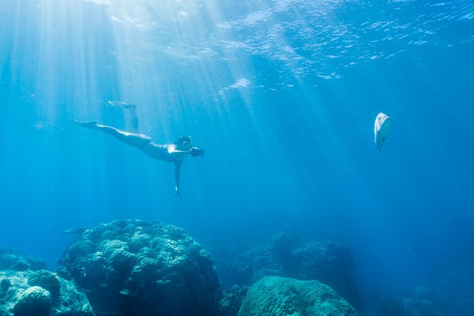 Great Barrier Reef Snorkeling and Diving Cruise from Cairns - Why beginners often do well here