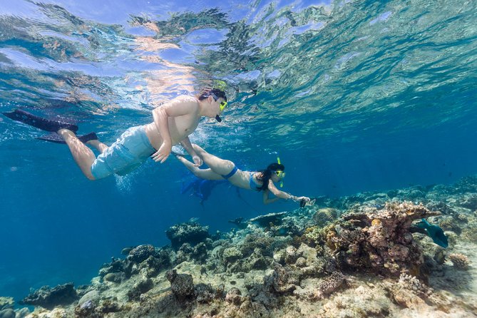Great Barrier Reef Snorkeling and Diving Cruise from Cairns - Who should book this Cairns reef cruise?