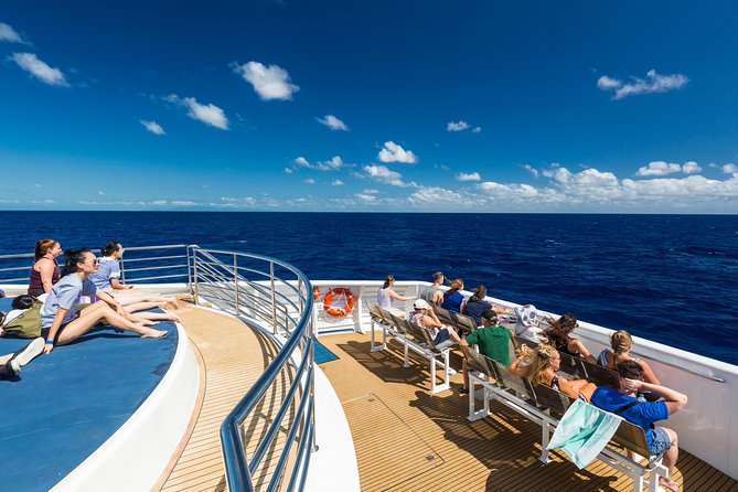 Great Barrier Reef Snorkeling and Diving Cruise from Cairns - First reef session at Saxon or Norman Reef
