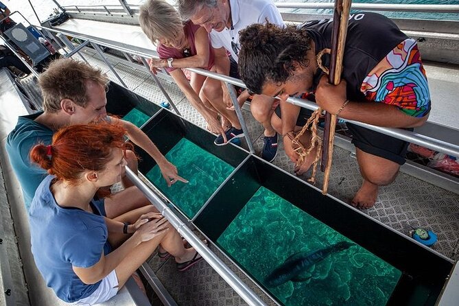 Great Barrier Reef with Cultural Guides-Dreamtime Dive & Snorkel - Milln or Flynn Reef adds three more hours
