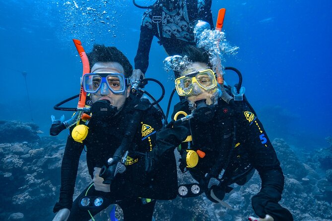 Great Barrier Reef with Cultural Guides-Dreamtime Dive & Snorkel - What to pack for a better reef day