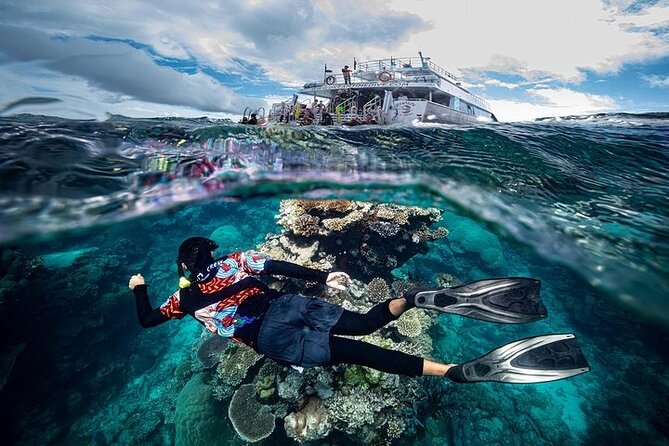 Great Barrier Reef with Cultural Guides-Dreamtime Dive & Snorkel - Moore Reef gives you the first long swim