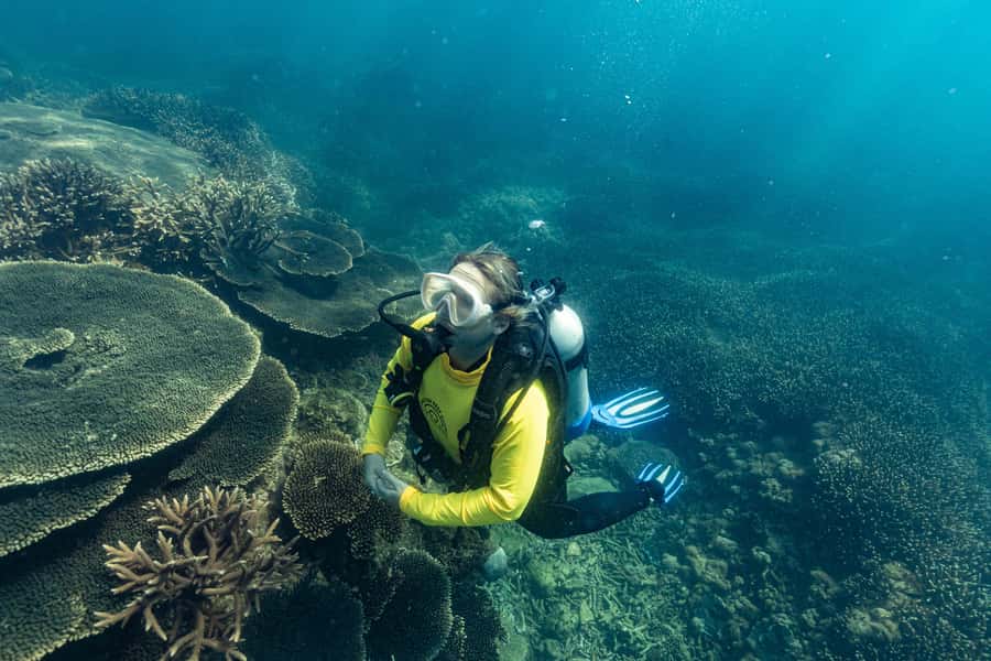 Great Keppel Island: PADI Discover SCUBA Diving - Why the small group matters