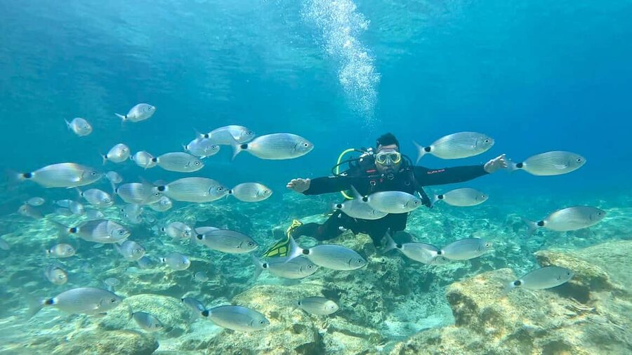 Green Bay Cyprus - Scuba diving - Guided Dive or Try Dive - Key points to know before you book