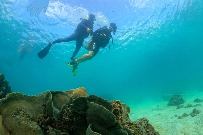 [GROUP] SCUBA DIVING For Beginners in Phu Quoc Island (TRY DIVE) - Starting at 7:30 am in Phu Quoc