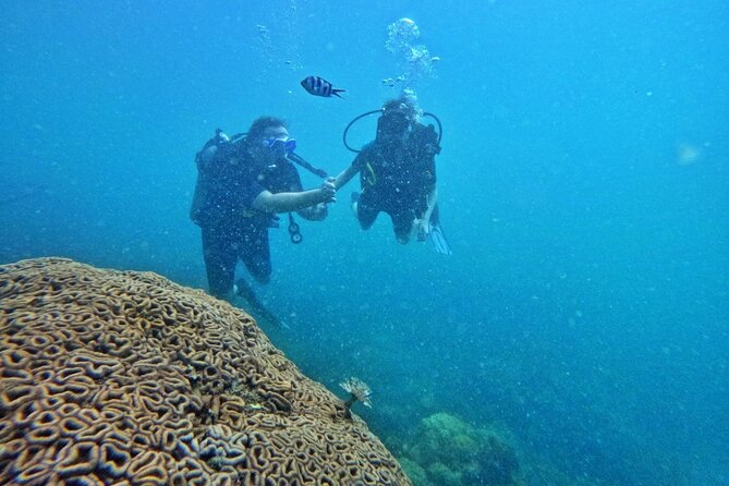 [GROUP] SCUBA DIVING For Beginners in Phu Quoc Island (TRY DIVE) - Learning the basics before entering the water