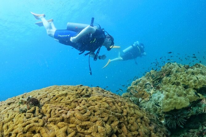 [GROUP] SCUBA DIVING for Certified Divers in Phu Quoc Island - Key points to know before booking