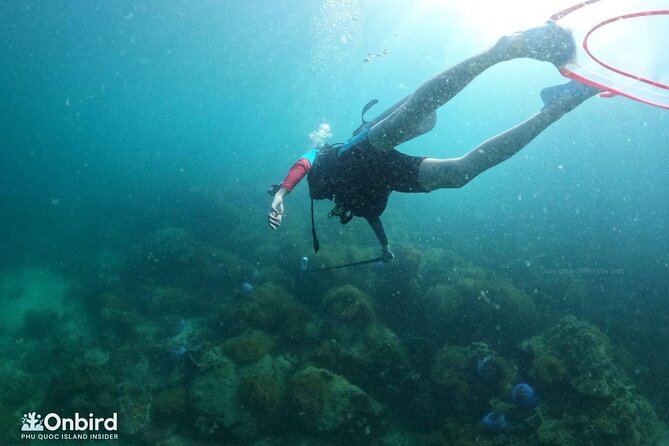 [GROUP] SCUBA DIVING for Certified Divers in Phu Quoc Island - Two reef sessions around the An Thoi Islands