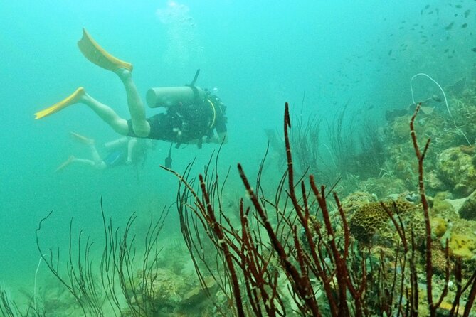 [GROUP] SCUBA DIVING for Certified Divers in Phu Quoc Island - What the first underwater session is like