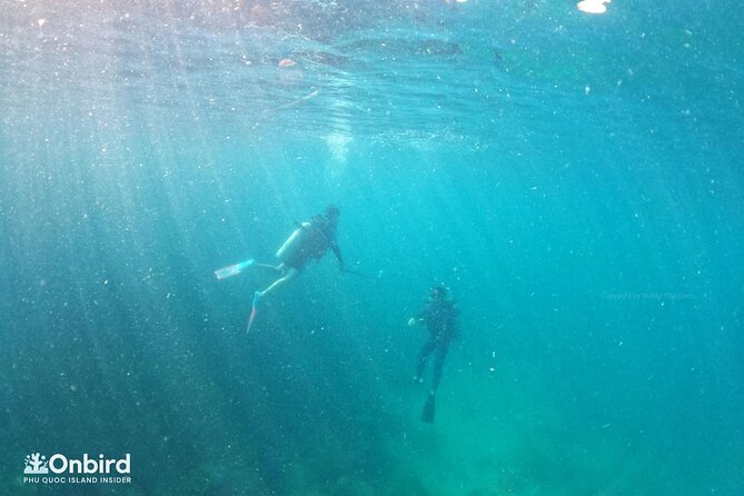 [GROUP] SCUBA DIVING for Certified Divers in Phu Quoc Island - Lunch on the boat, then a second session