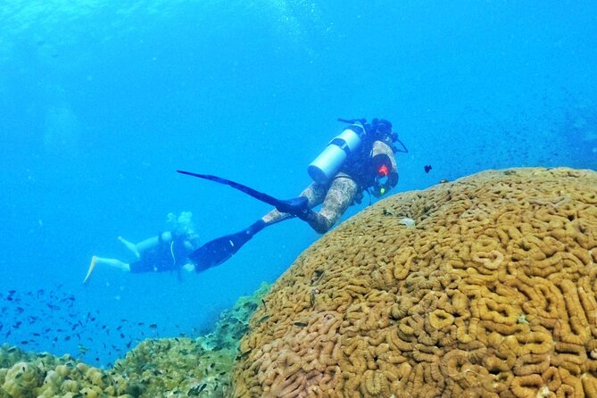 [GROUP] SCUBA DIVING for Certified Divers in Phu Quoc Island - The guide and group setup