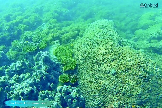 [GROUP] SCUBA DIVING for Certified Divers in Phu Quoc Island - Who will enjoy this trip most