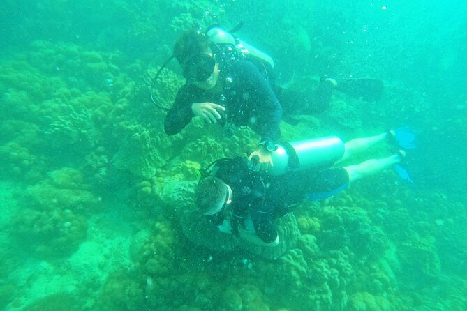 [GROUP] SCUBA DIVING for Certified Divers in Phu Quoc Island - Weather, timing, and practical planning