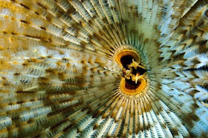 [GROUP] SCUBA DIVING for Certified Divers in Phu Quoc Island - The early hotel pickup and ride south