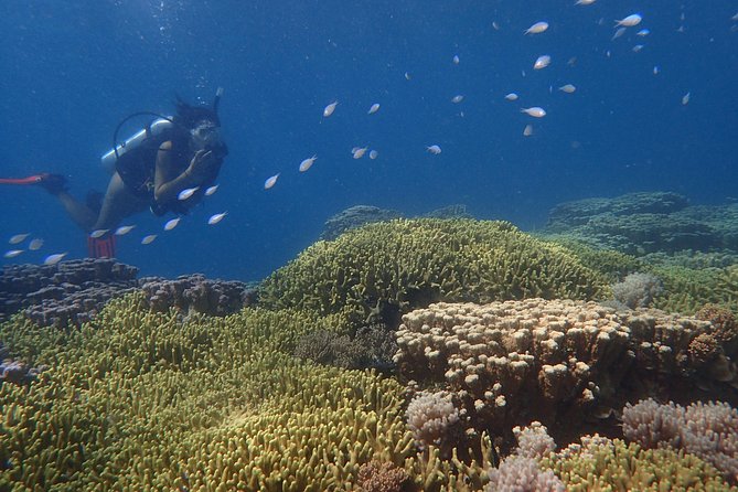 Guam's Best Beach Diving! Beginner and Advanced Dives - Choosing one session or two