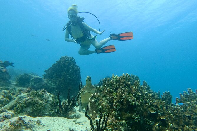 Guam's Best Beach Diving! Beginner and Advanced Dives - The deeper option for certified scuba guests