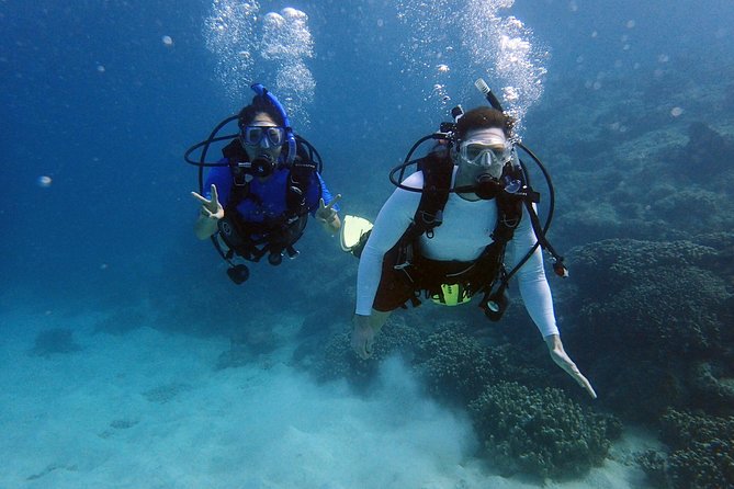 Guam's Best Beach Diving! Beginner and Advanced Dives - What the $90 price includes