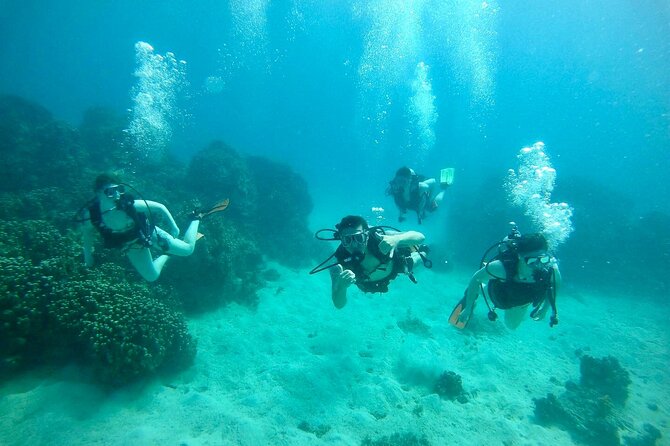 Guam's Best Beach Diving! Beginner and Advanced Dives - What you see on the shallow reef