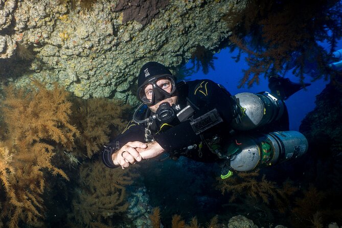 Guided Boat Dives for Certified Divers - Up to three sessions in one day