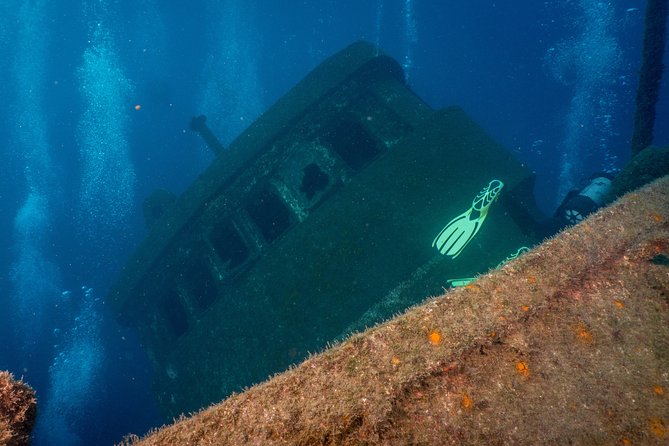 Guided Boat Dives for Certified Divers - A five to 15 minute boat ride to Los Cristianos