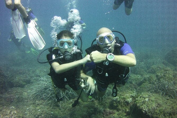 Guided dive for certified divers - What the Brindisi scuba outing is really like