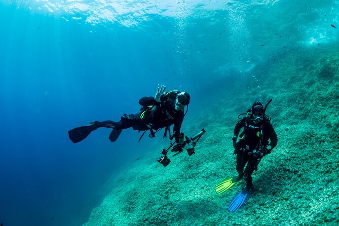 Guided diving for beginners without certification from Sorrento - What the protected Punta Campanella area adds