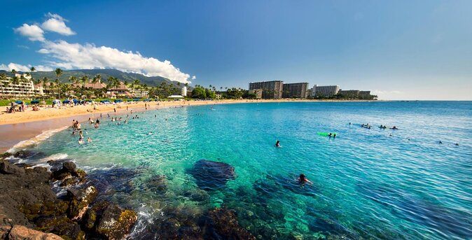 Guided Scuba Dive in Lahaina: Certified - What the two-hour Ka’anapali experience is really like