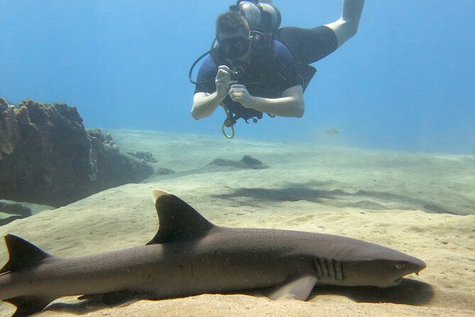 Guided Scuba Dive in Lahaina: Certified - A refresher that earns its place