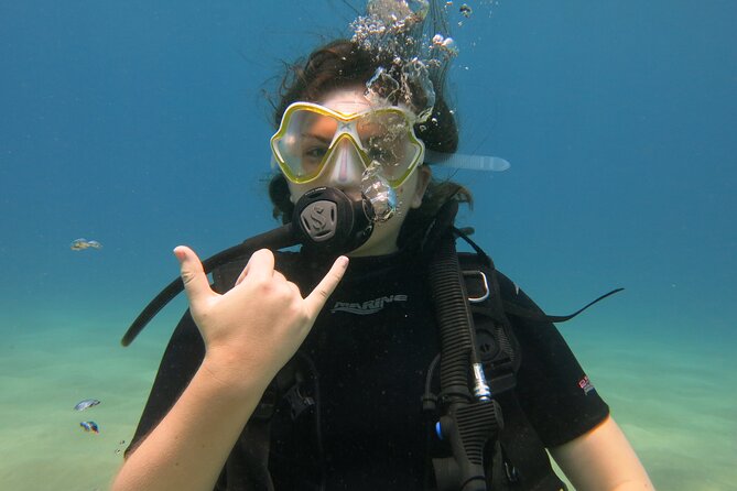 Guided Scuba Dive in Lahaina: Certified - Should you book Banyan Tree Divers?